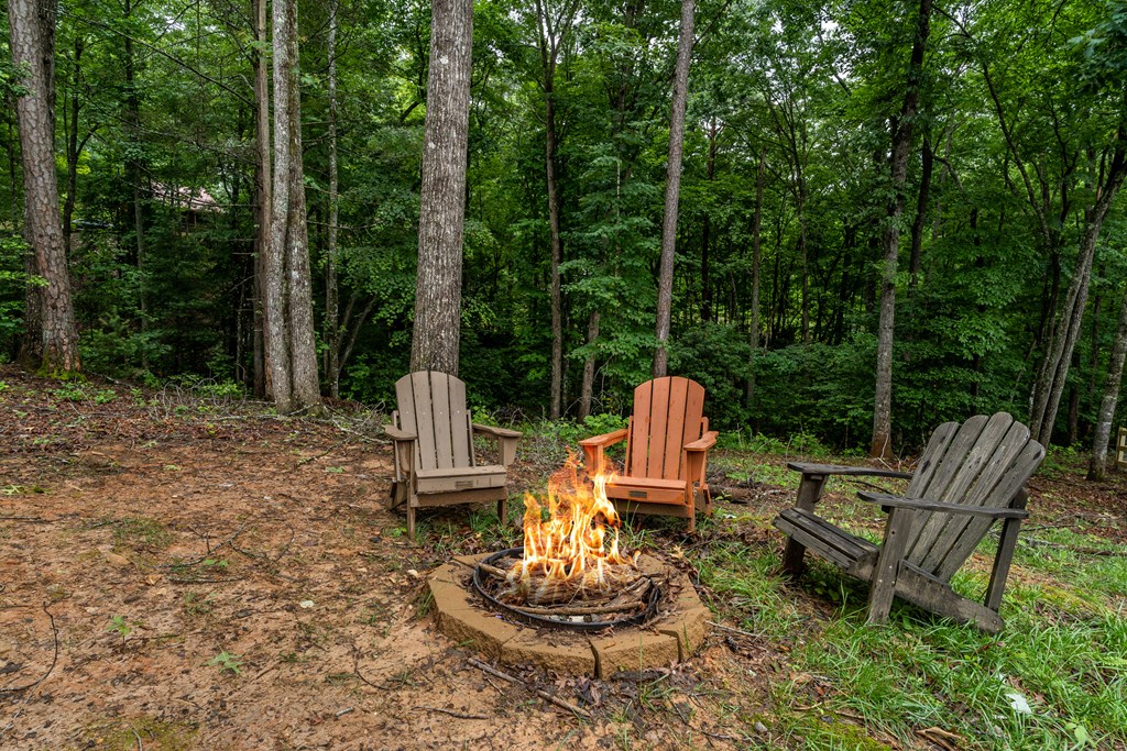 151 Rushmore Lane Murphy, NC 28906 - Photo 26 of 26