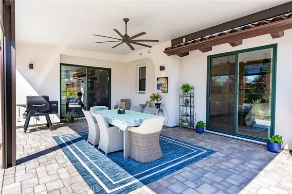a living room with a rug floor to ceiling window and potted plants
