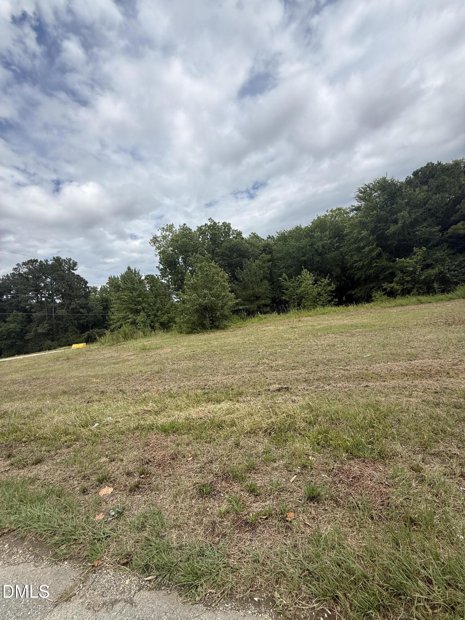 264 North 15th Street Erwin, NC 28339 - Photo 6 of 6