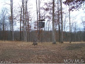 0 Dicks Run Reedy, WV 25270 - Photo 3 of 7 Owners tree stand