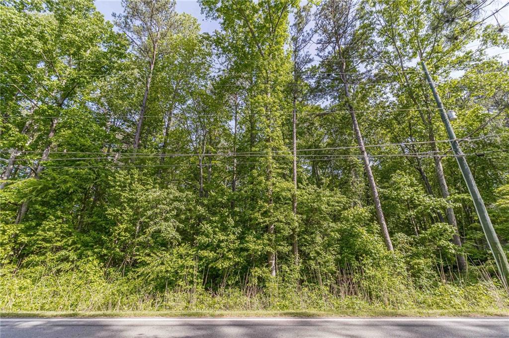 676 High Shoals Road Dallas, GA 30132 - Photo 16 of 18