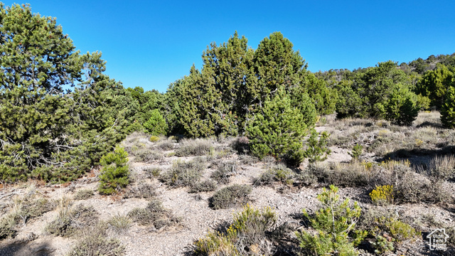 123 Tbd Prout Wash Road North Cedar City, UT 84721 - Photo 34 of 82