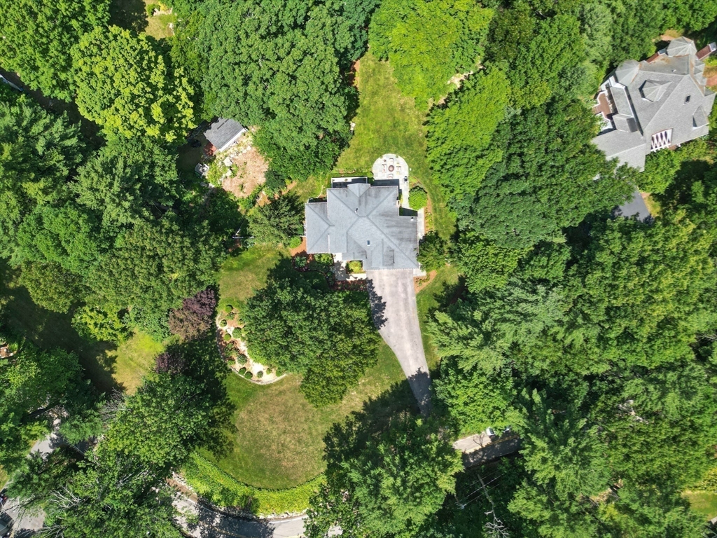 175 Maskwonicut Street Sharon, MA 02067 - Photo 37 of 41