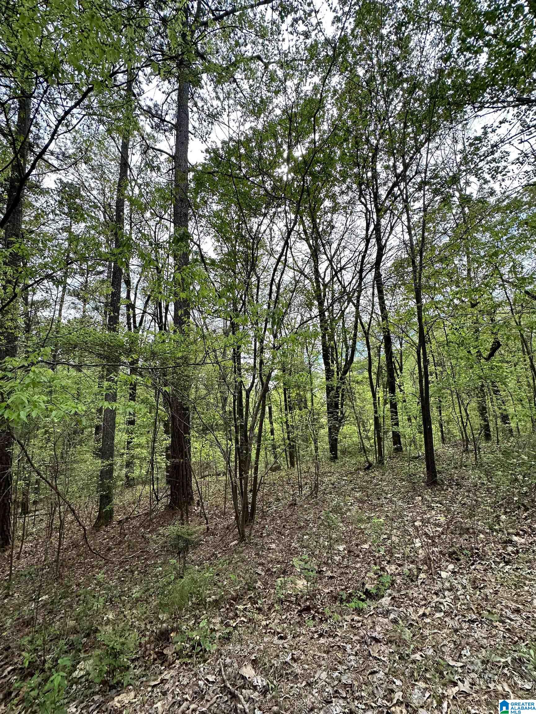 Lakeview Drive, Unit 53 Alpine, AL 35014 - Photo 2 of 35
