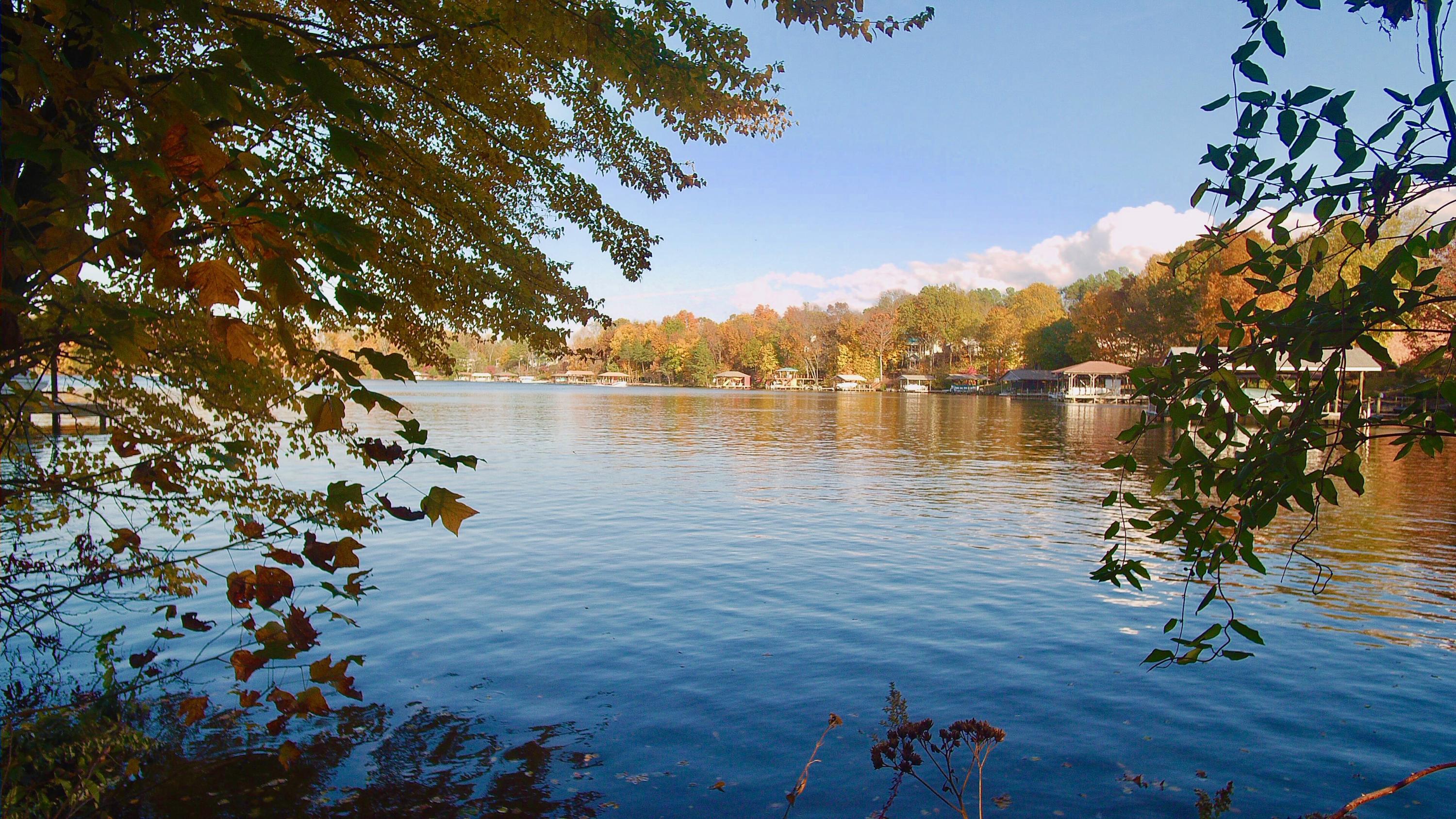 162 Inagehi Way Loudon, TN 37774 - Photo 1 of 11 Lakefront on Tellico Lake