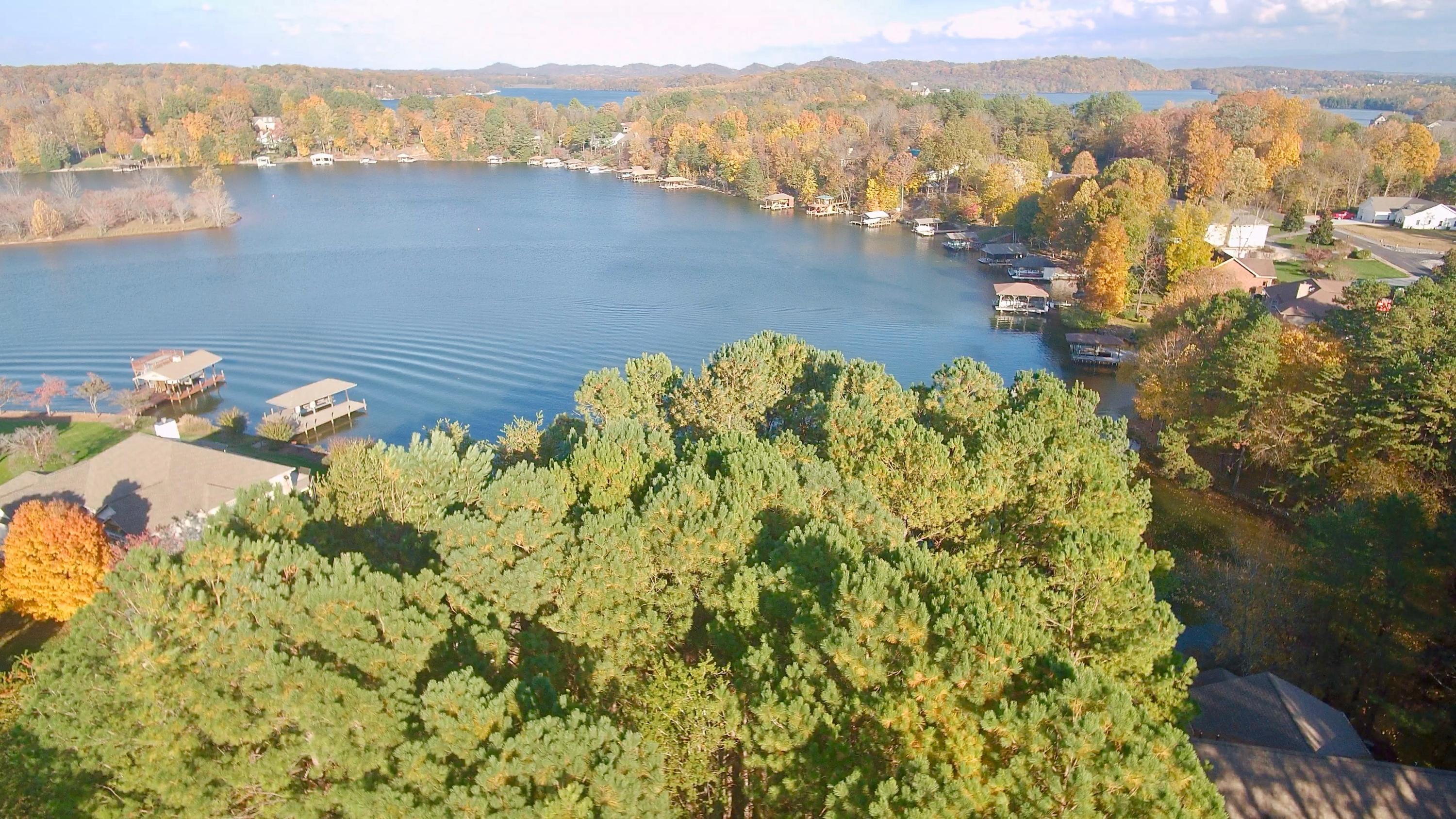 162 Inagehi Way Loudon, TN 37774 - Photo 3 of 11 Breathtaking beauty