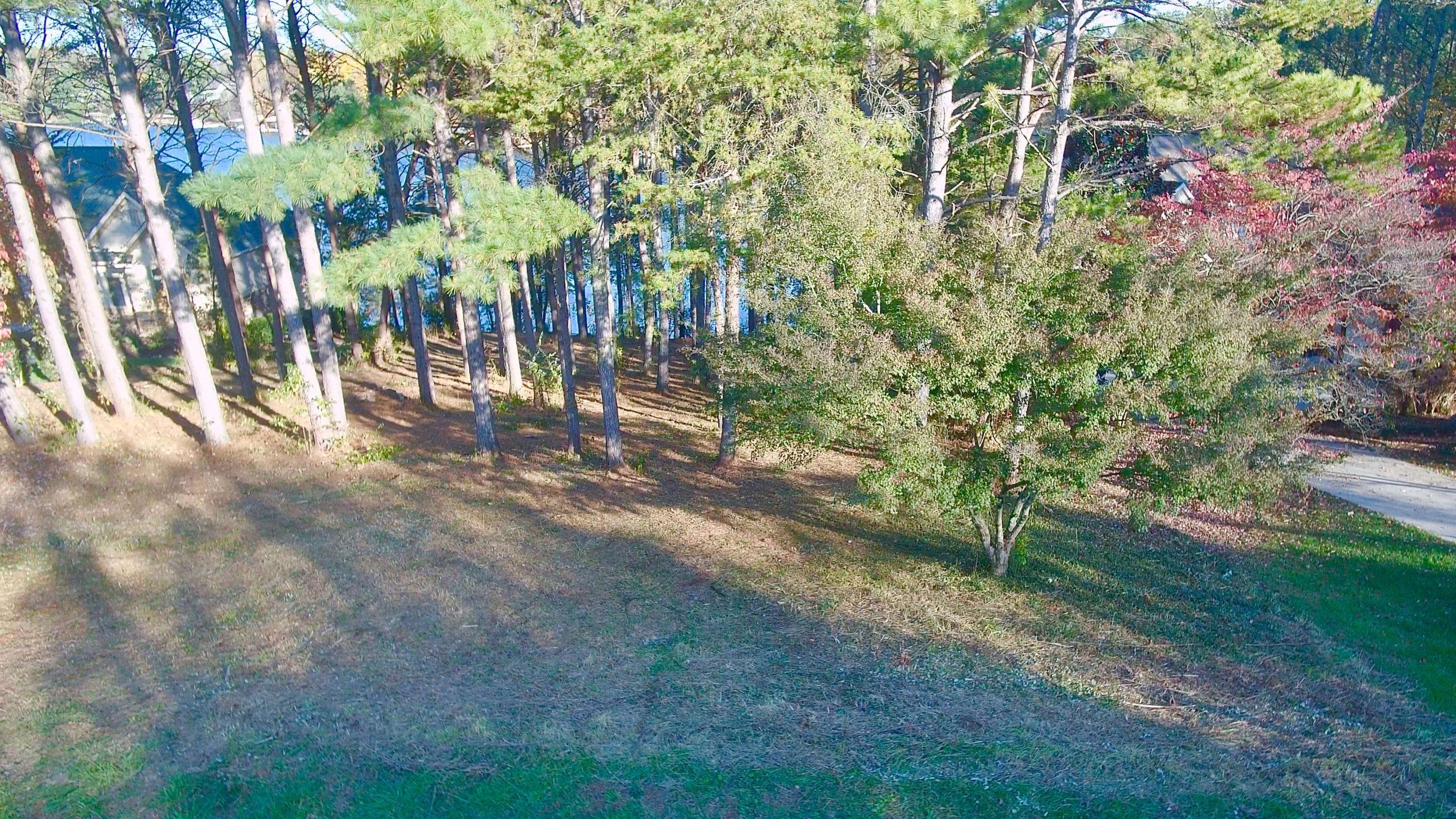 162 Inagehi Way Loudon, TN 37774 - Photo 5 of 11 Front view from street