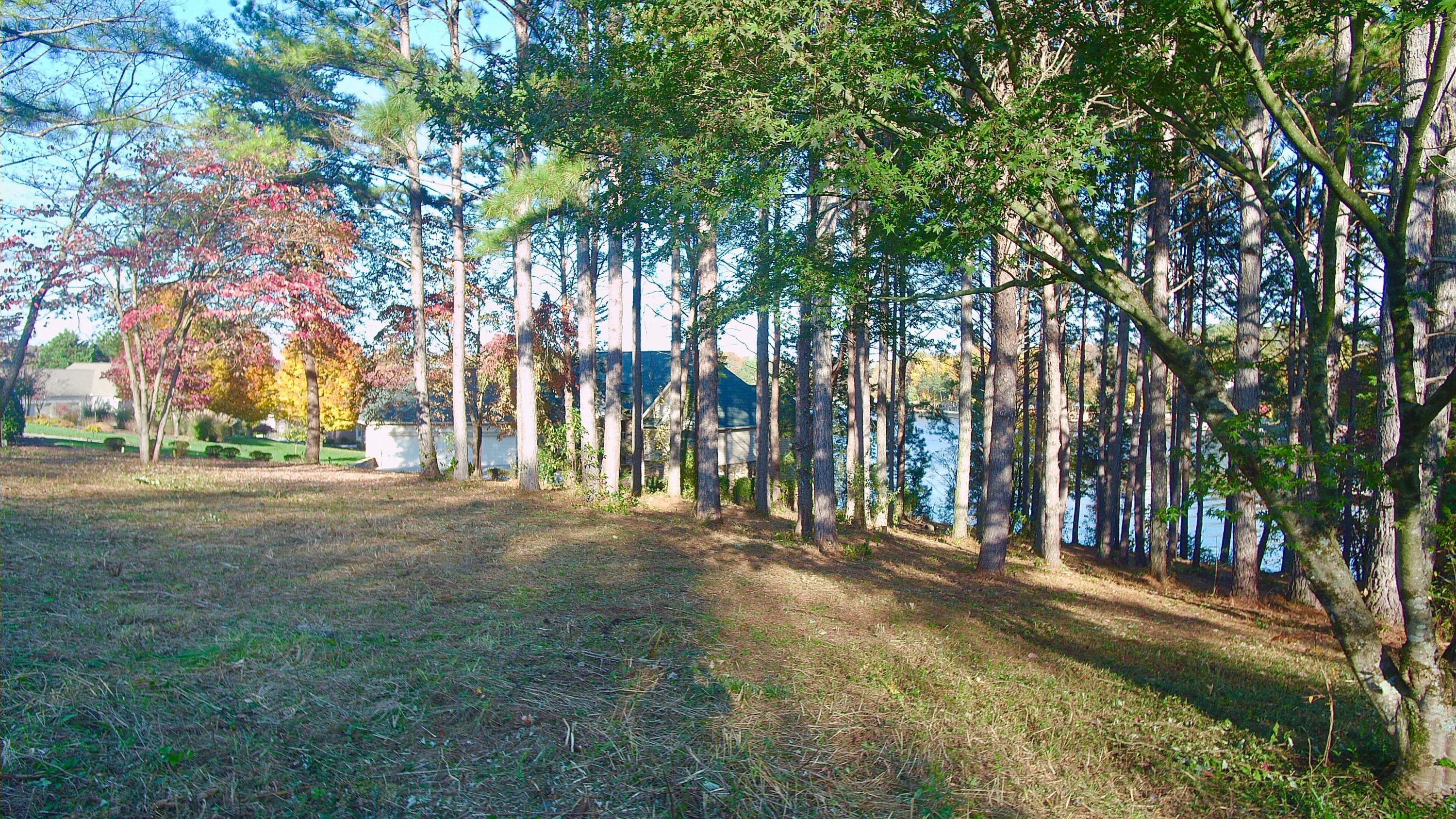 162 Inagehi Way Loudon, TN 37774 - Photo 6 of 11 Gentle slope for basement