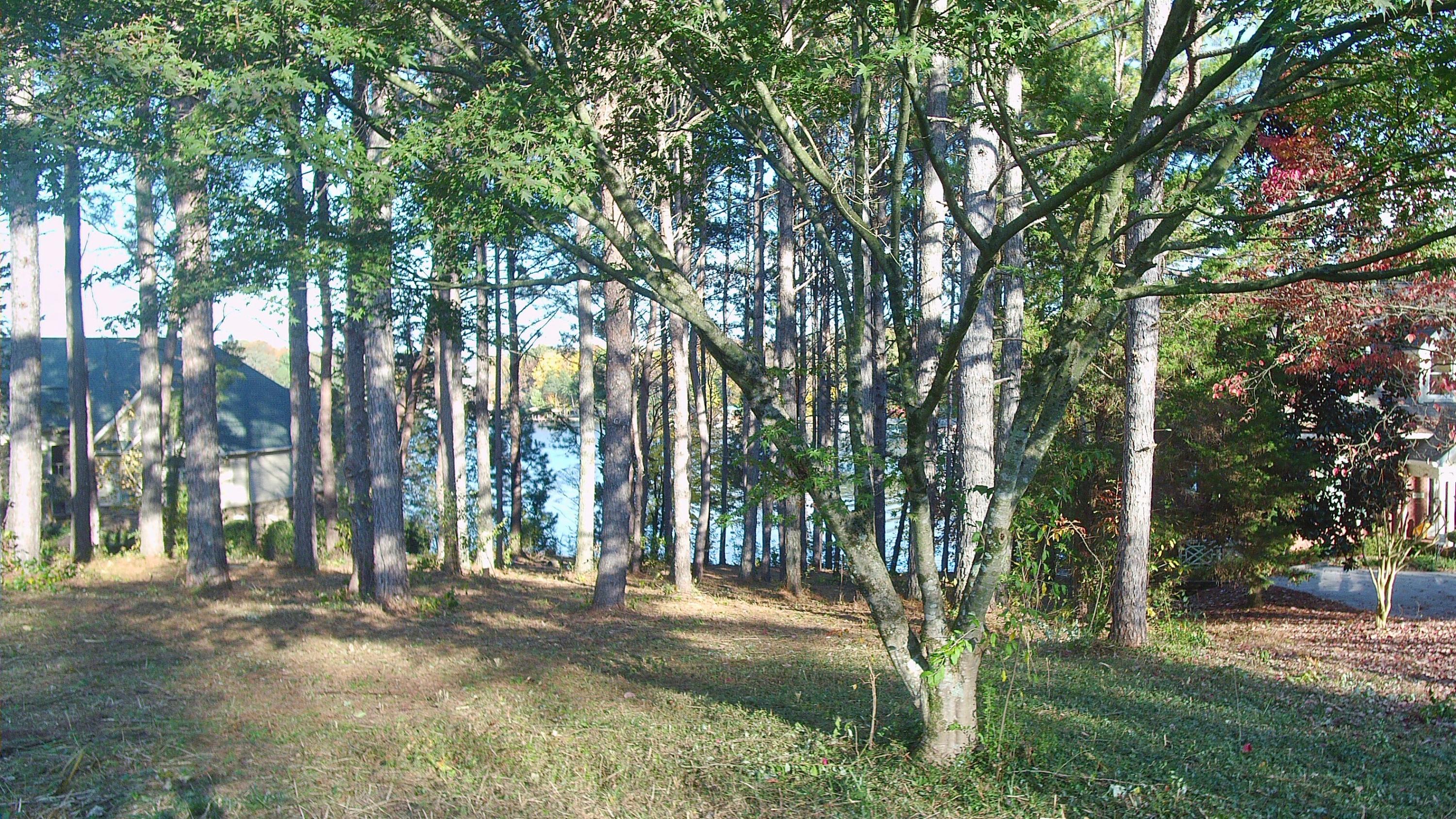 162 Inagehi Way Loudon, TN 37774 - Photo 7 of 11 Great space for your custom home