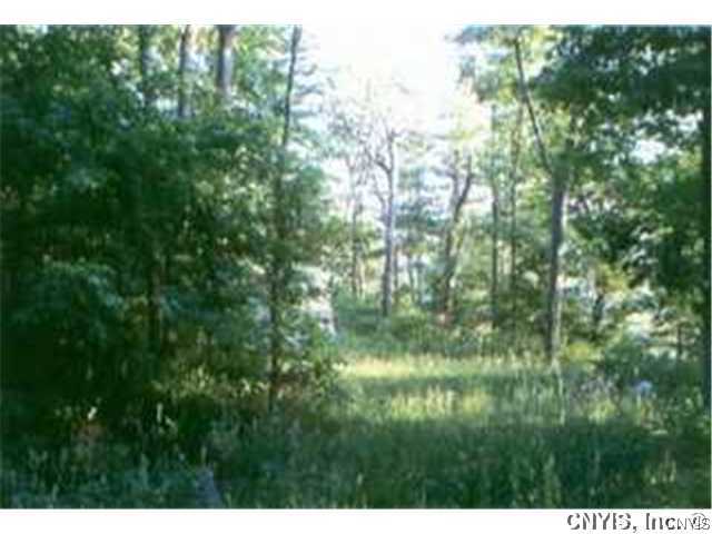 Fleming Road Gouverneur, NY 13642 - Photo 1 of 1 Land