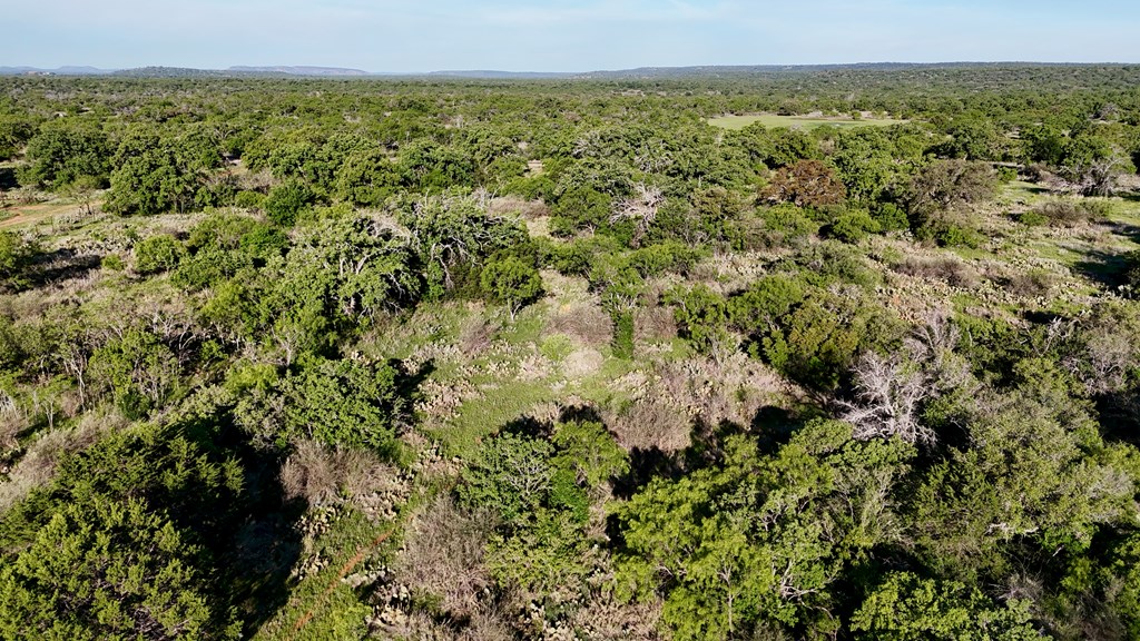 Tbd Tbd Madden Ranch Road Valley Spring, TX 76885 - Photo 42 of 46 Gallery Image 42