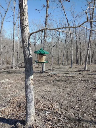 $62,500 | 9.05-acre Lot On 9.05-acre Road, Camdenton, MO 65020