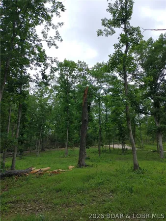 $62,500 | 9.05-acre Lot On 9.05-acre Road, Camdenton, MO 65020