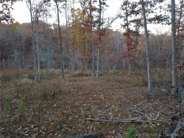 $62,500 | 9.05-acre Lot On 9.05-acre Road, Camdenton, MO 65020