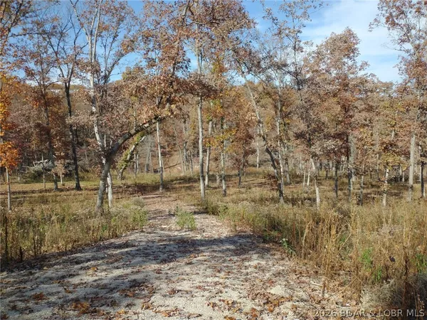$62,500 | 9.05-acre Lot On 9.05-acre Road, Camdenton, MO 65020