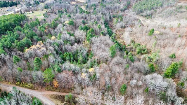 $149,900 | Lot 3-4 Goldmine Tract, Dolgeville, NY 13329