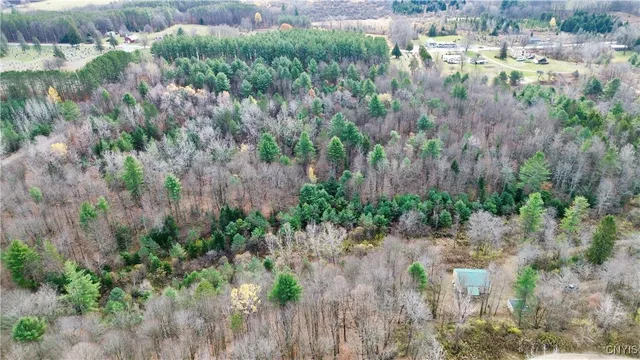 $149,900 | Lot 3-4 Goldmine Tract, Dolgeville, NY 13329