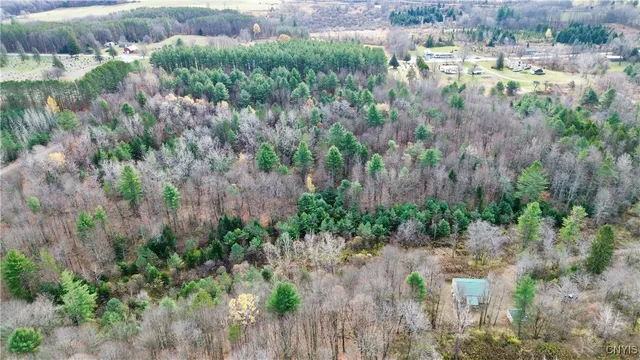 $149,900 | Lot 3-4 Goldmine Tract, Dolgeville, NY 13329
