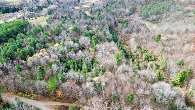 $149,900 | Lot 3-4 Goldmine Tract, Dolgeville, NY 13329
