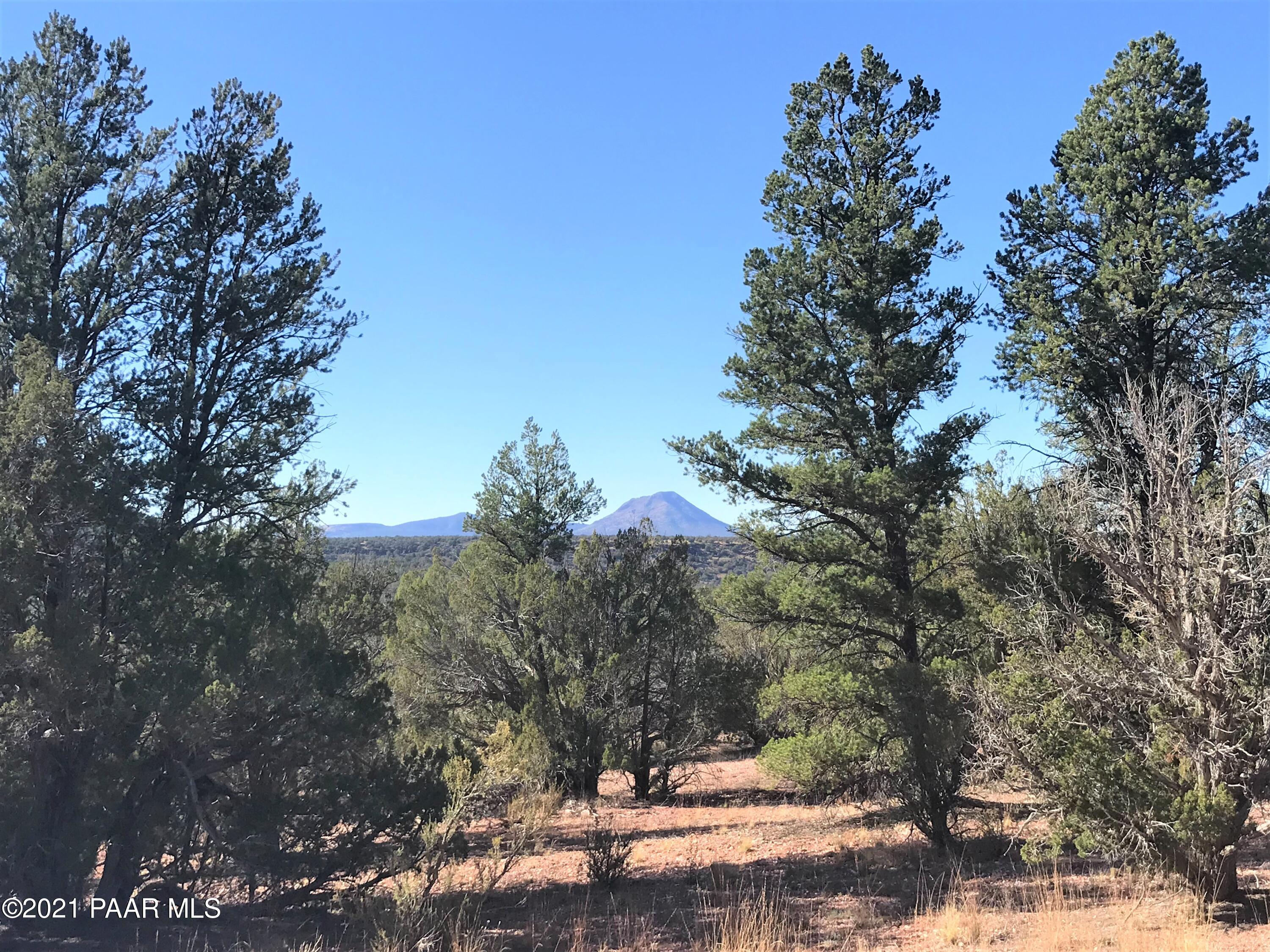 43 Northeast D Ne Off Of Arizona Road Ash Fork, AZ 86320 - Photo 1 of 10 IMG_3089