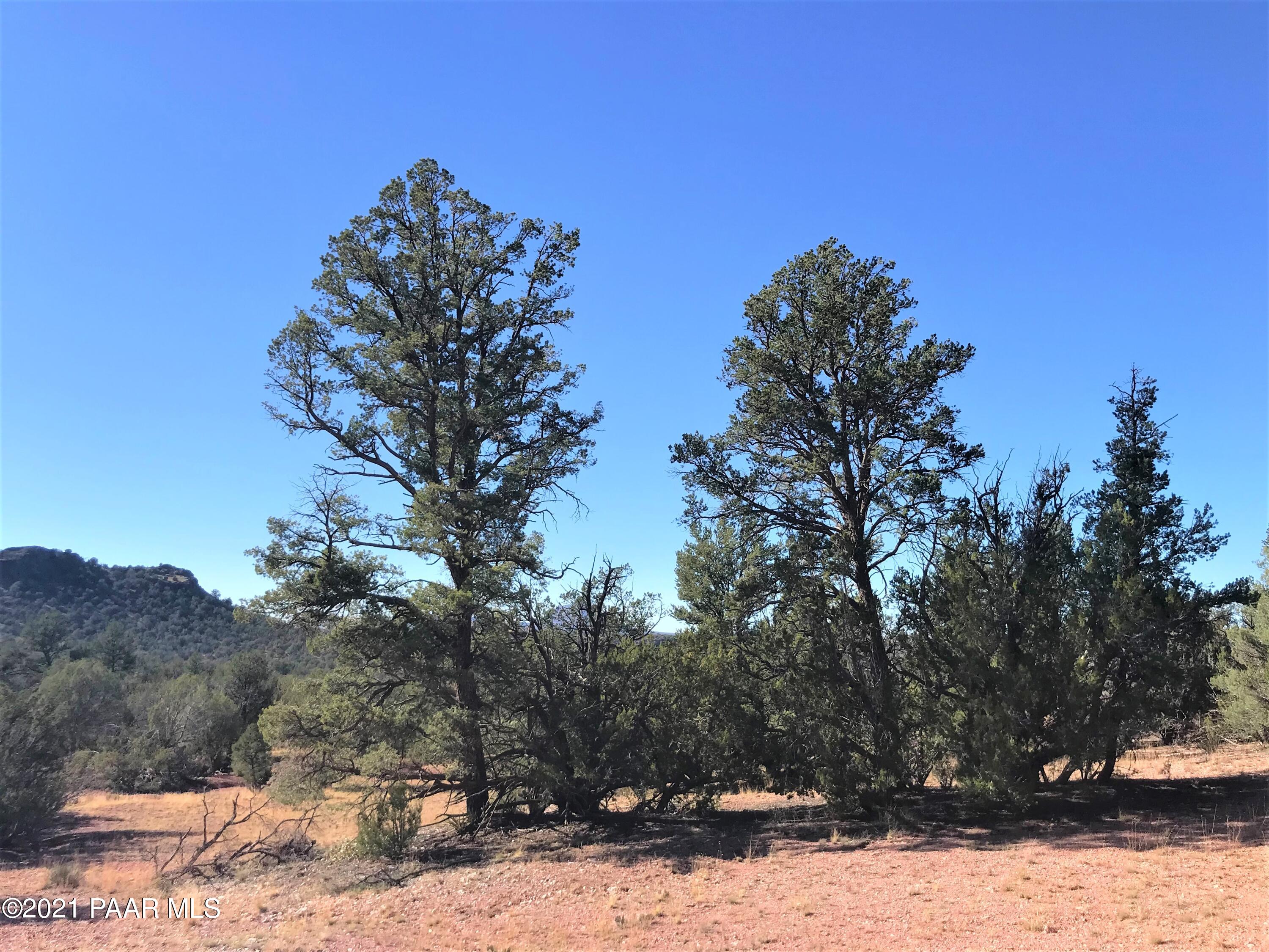 43 Northeast D Ne Off Of Arizona Road Ash Fork, AZ 86320 - Photo 2 of 10 IMG_3088