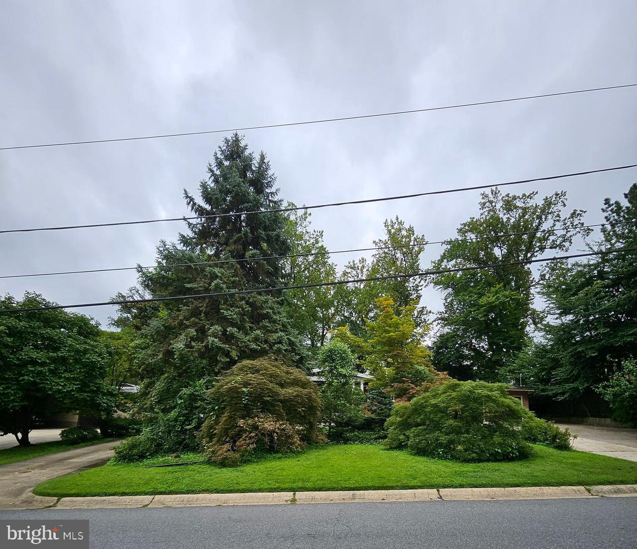 6204 Lenox Road Bethesda, MD 20817 - Photo 9 of 53