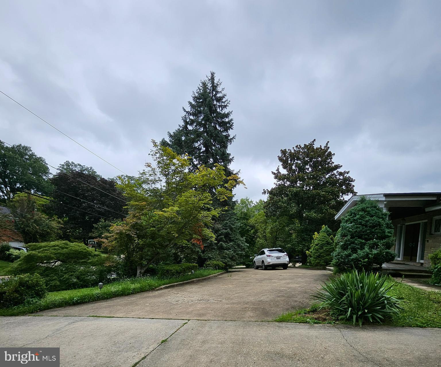 6204 Lenox Road Bethesda, MD 20817 - Photo 10 of 53