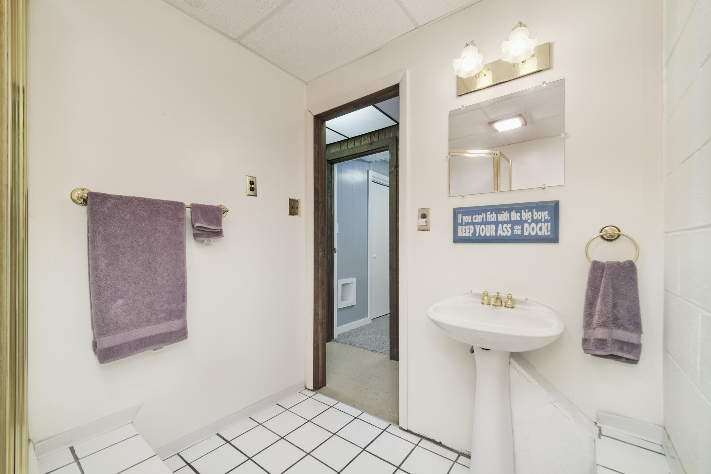 6373 East Trail Ridge Road Fountain, MI 49410 - Photo 40 of 62 Lower Level Bathroom