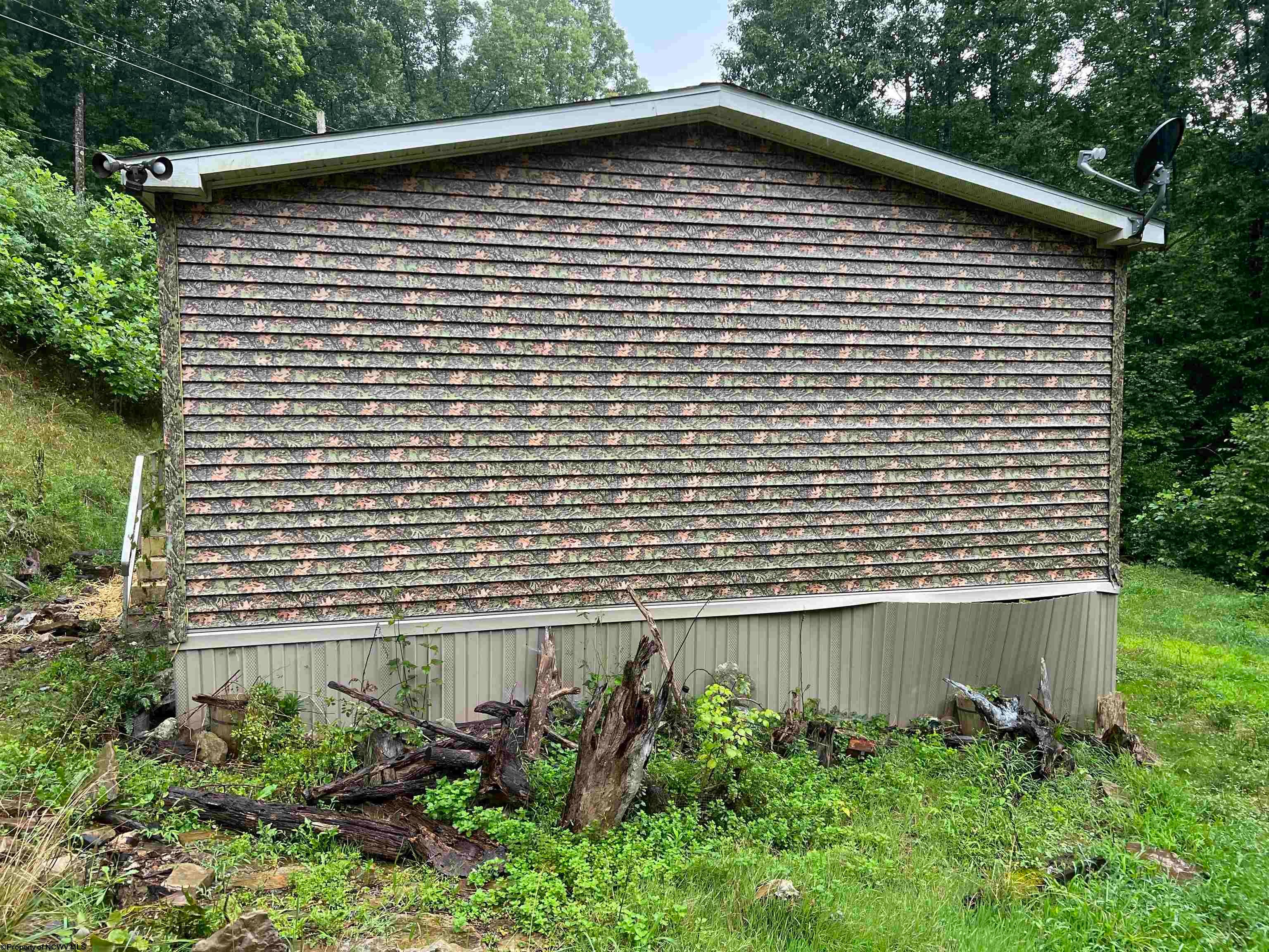 3468 Vernon Road Flatwoods, WV 26621 - Photo 3 of 28 Gallery Image 3