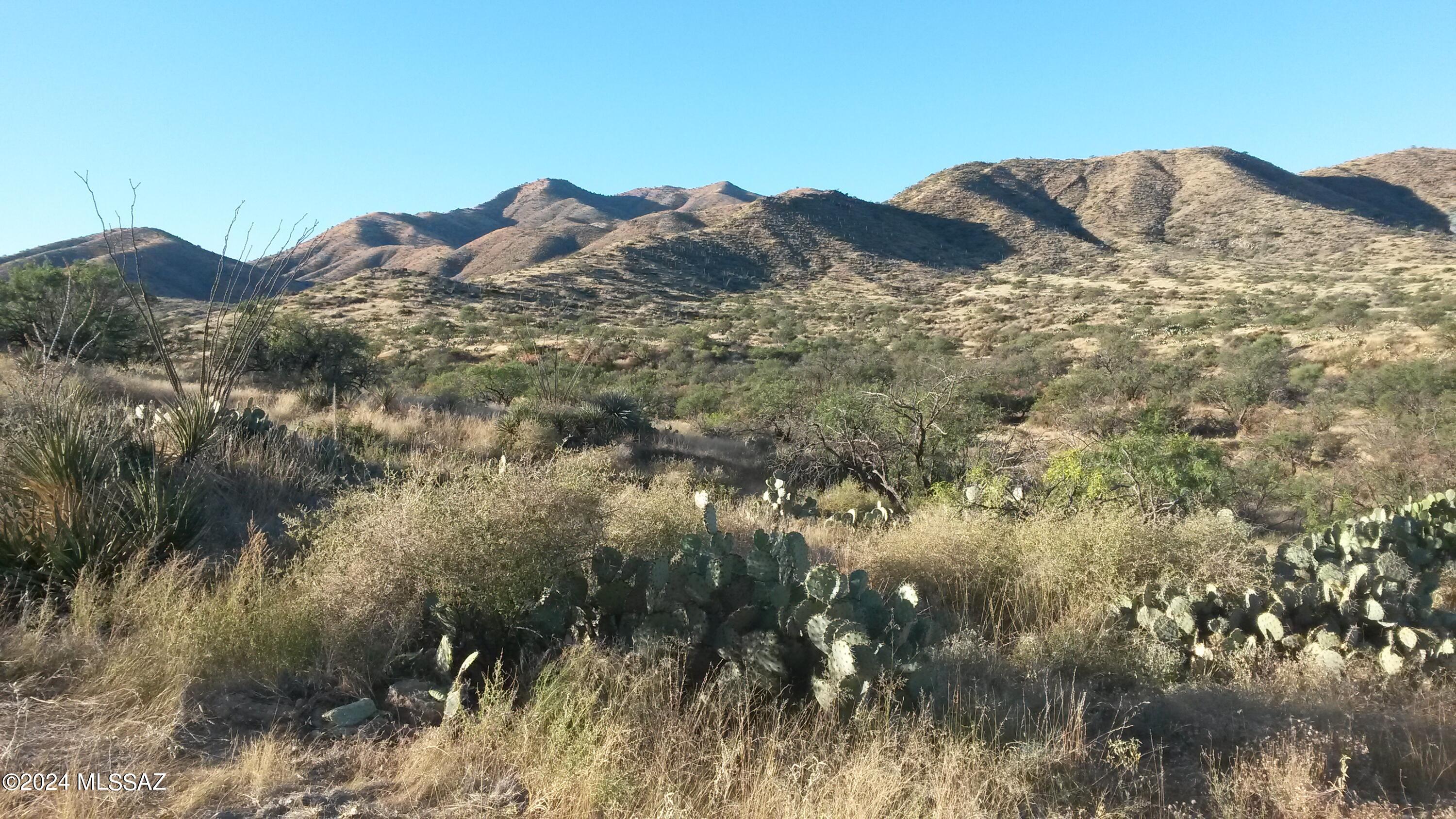 South Goodenough Trail Vail, AZ 85641 - Photo 10 of 13