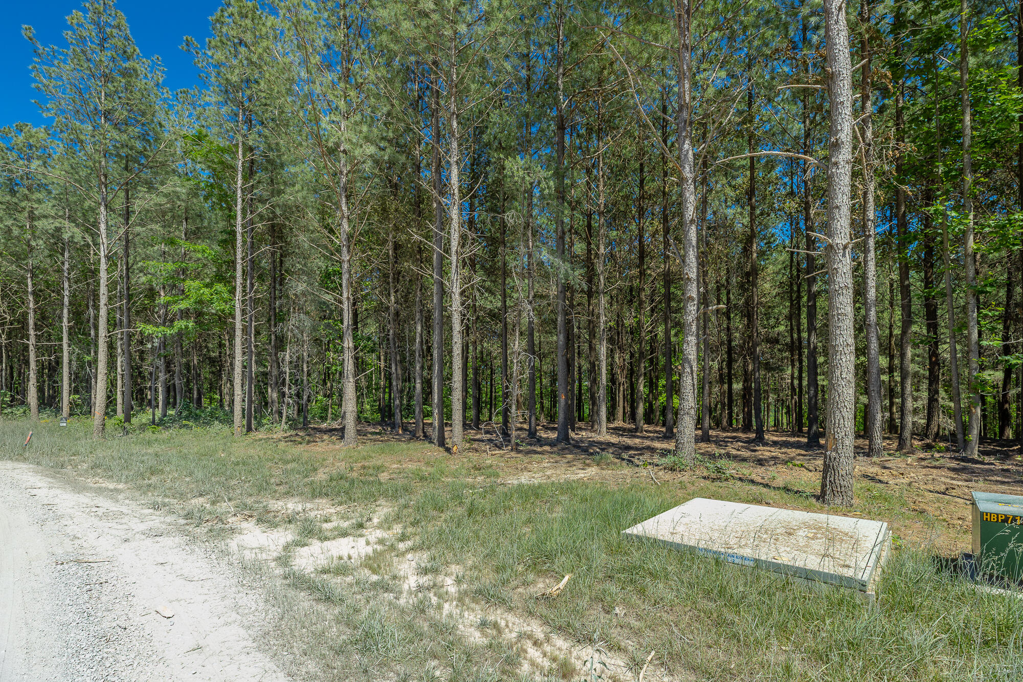 0 Split Rail Way, Unit 1349 Guild, TN 37340 - Photo 20 of 108 0 Split Rail Way - Lot 1349 HD-49
