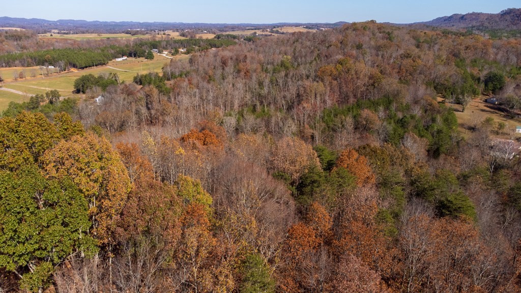 463 Co Road Englewood, TN 37329 - Photo 28 of 28
