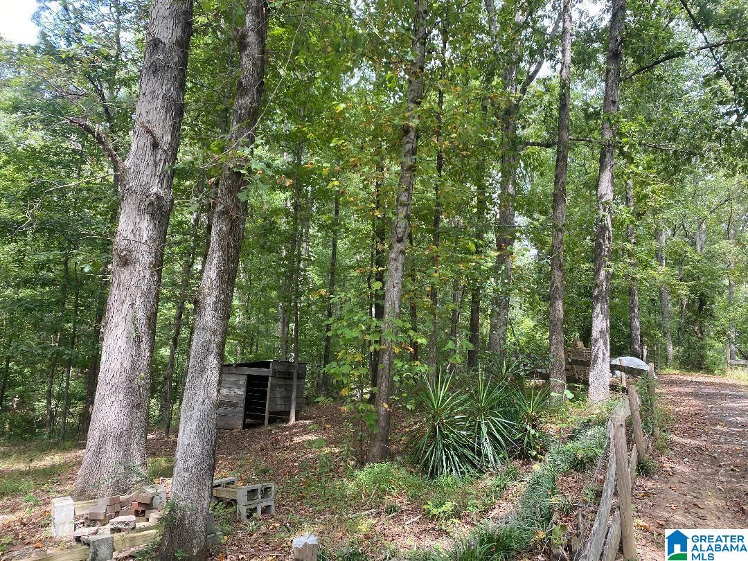 329 Whittemore Road Jasper, AL 35503 - Photo 9 of 9