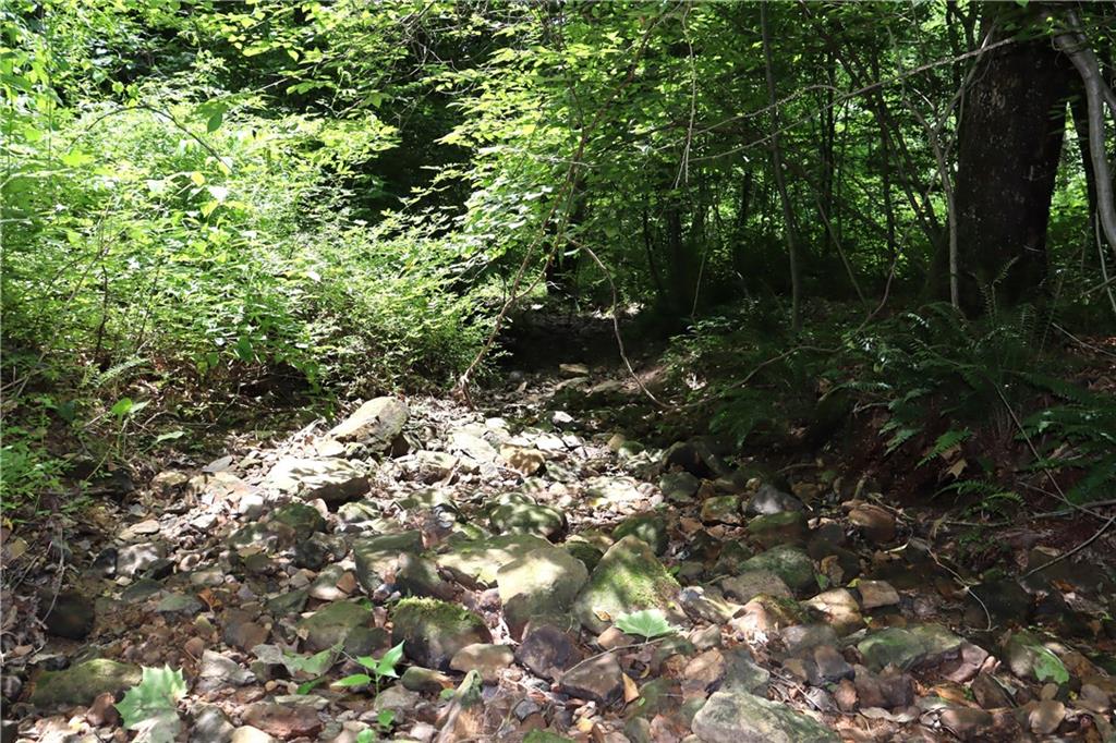 8100 Rubeck Road Poland, IN 47868 - Photo 22 of 30 Gallery Image 22