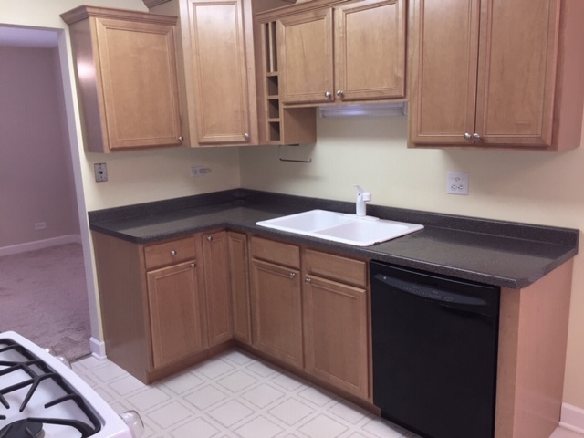 1128 Leicester Court Wheaton, IL 60189 - Photo 4 of 7 a kitchen with stainless steel appliances granite countertop a sink and cabinets