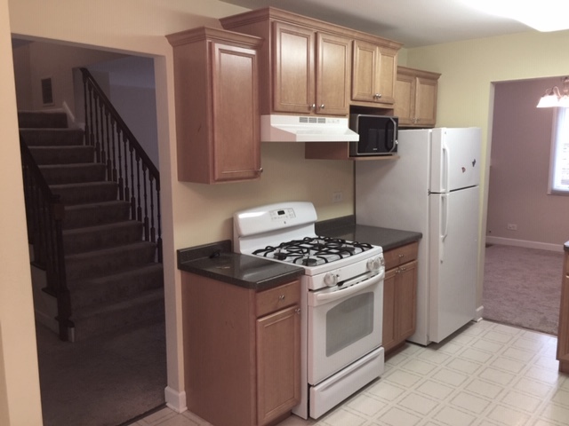 1128 Leicester Court Wheaton, IL 60189 - Photo 5 of 7 a kitchen with cabinets and steel stainless steel appliances