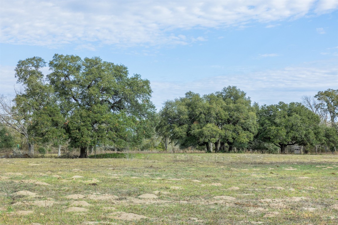 a view of a yard with an trees