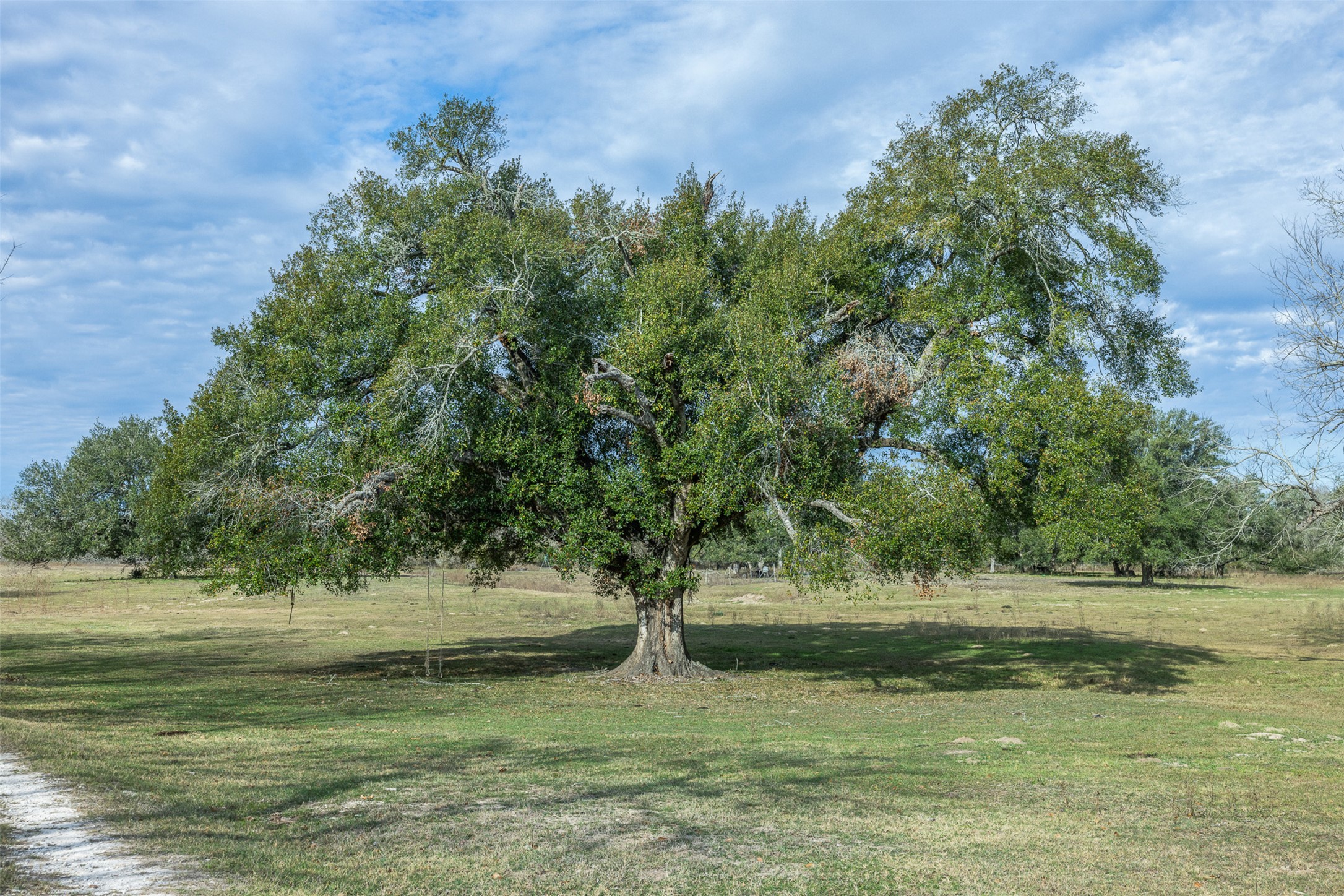 1820 South Old Smithville Road Flatonia, TX 78941 - Photo 18 of 33