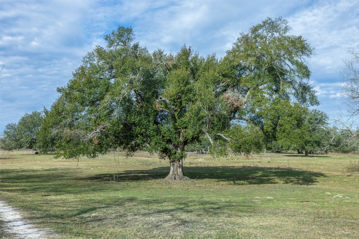 1820 South Old Smithville Road Flatonia, TX 78941 - Photo 18 of 33 a view of a lake view