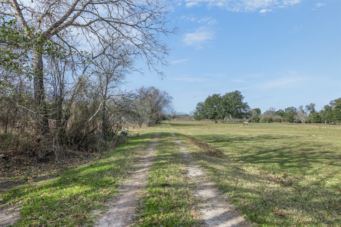 1820 South Old Smithville Road Flatonia, TX 78941 - Photo 19 of 33 a view of a field with an trees