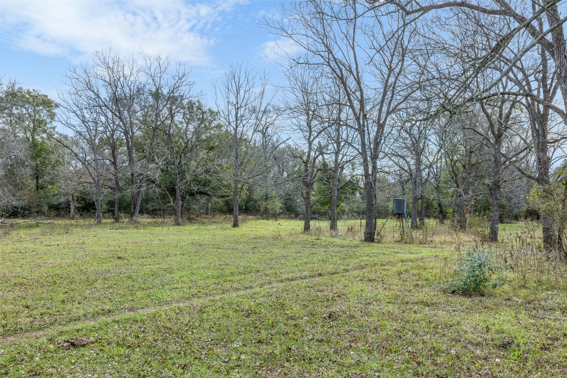 1820 South Old Smithville Road Flatonia, TX 78941 - Photo 23 of 33 a view of outdoor space with trees all around