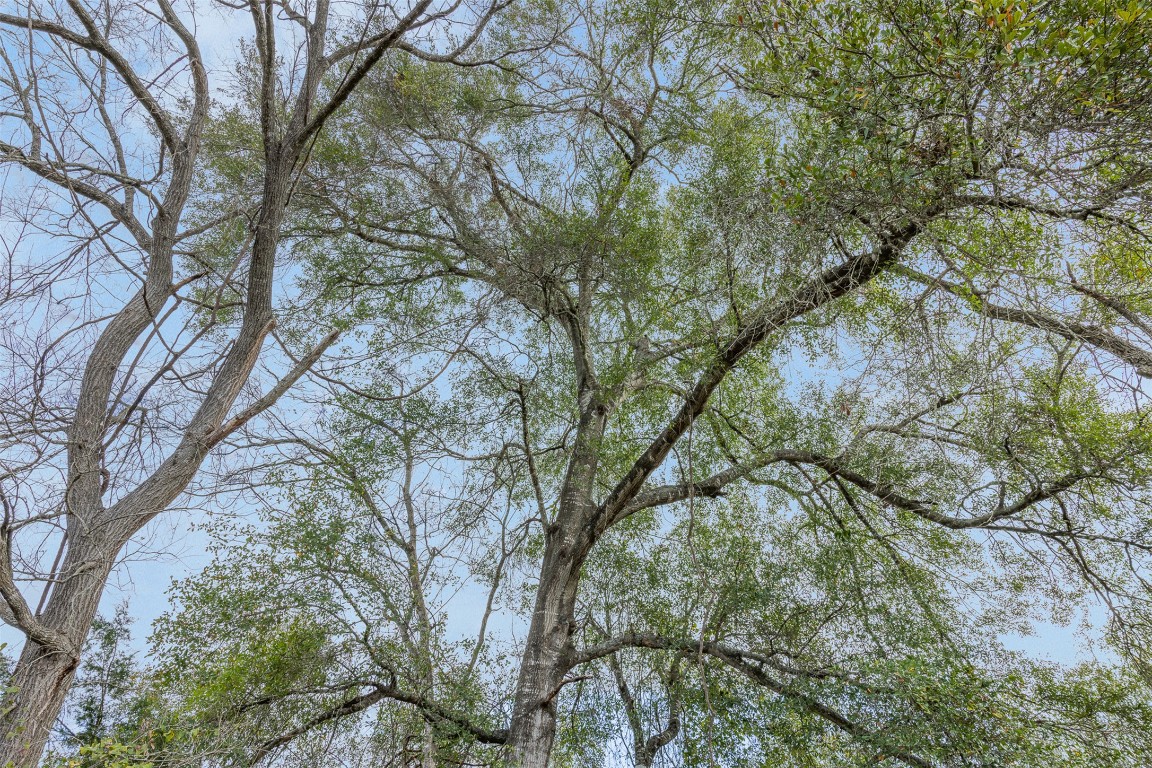 1820 South Old Smithville Road Flatonia, TX 78941 - Photo 24 of 33 a backyard of a house with lots of trees