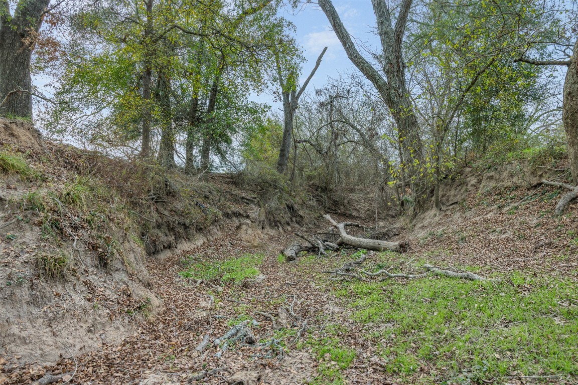 1820 South Old Smithville Road Flatonia, TX 78941 - Photo 25 of 33 a view of a forest with trees in the background
