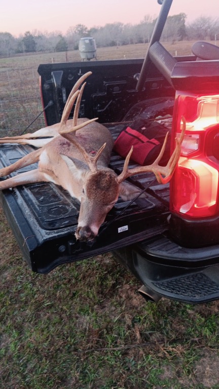 1820 South Old Smithville Road Flatonia, TX 78941 - Photo 32 of 33 a view of outdoor space