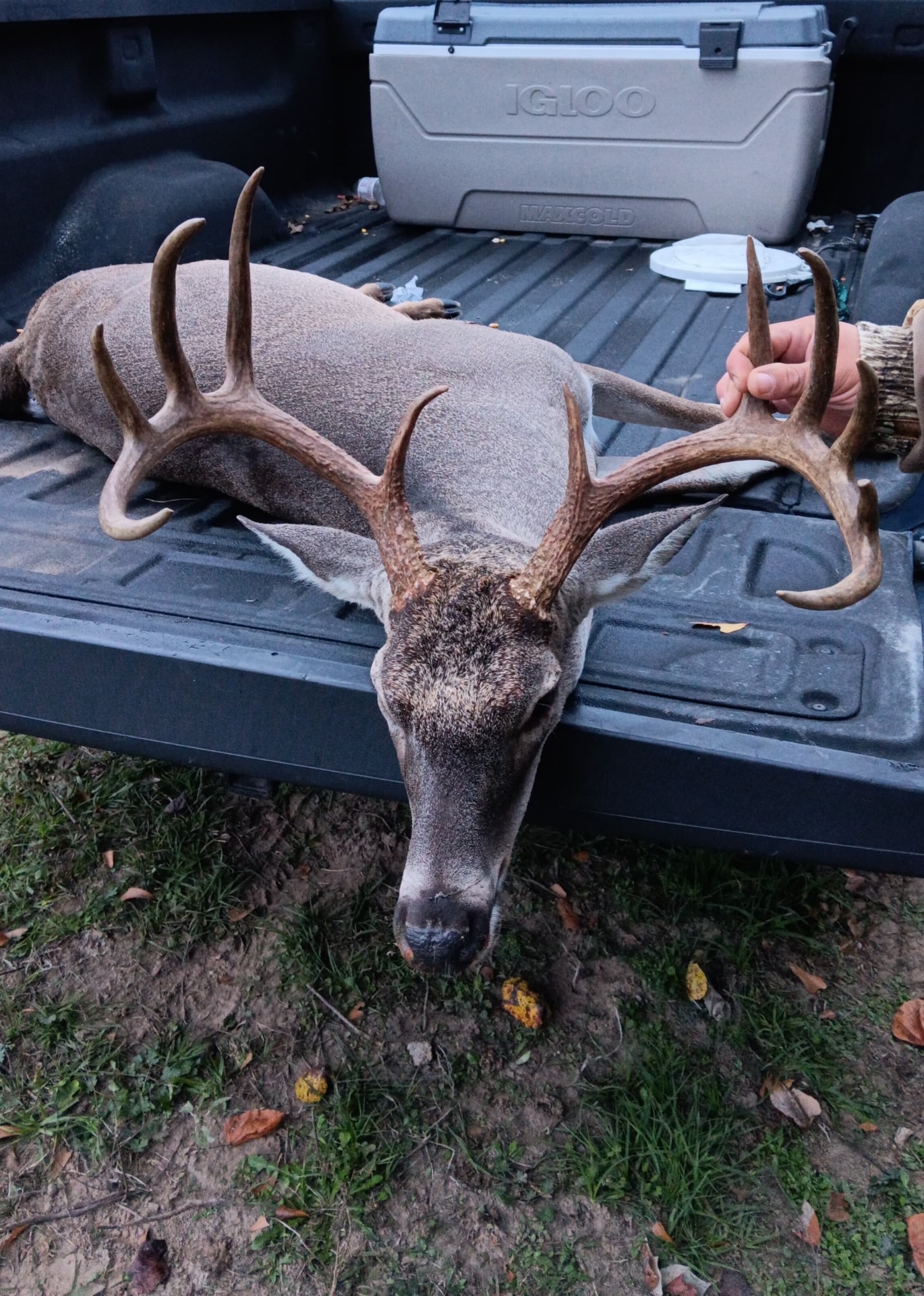 1820 South Old Smithville Road Flatonia, TX 78941 - Photo 33 of 33