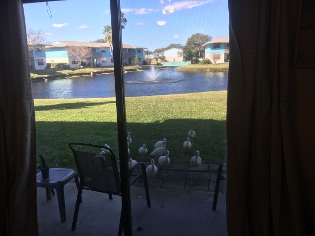 650 West Pope Road, Unit 224 St. Augustine, FL 32080 - Photo 7 of 8