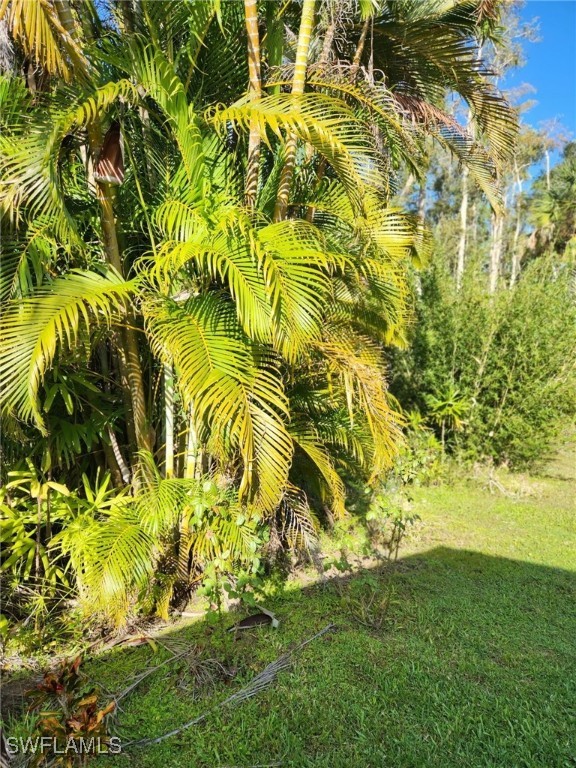 10823 Ani Circle Estero, FL 33928 - Photo 21 of 31 a view of a garden