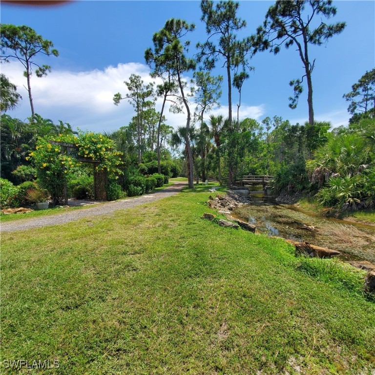 10823 Ani Circle Estero, FL 33928 - Photo 29 of 31 a view of a yard with an tree