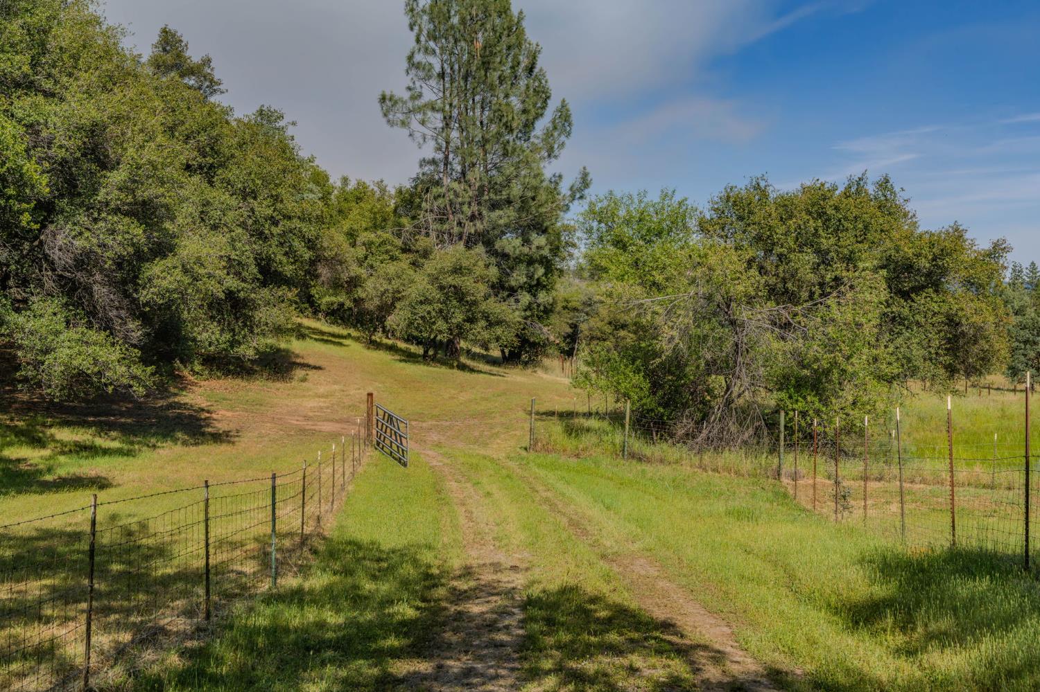 6216 Trout Lane Mountain Ranch, CA 95246 - Photo 9 of 39 a view of lake view with lots of trees