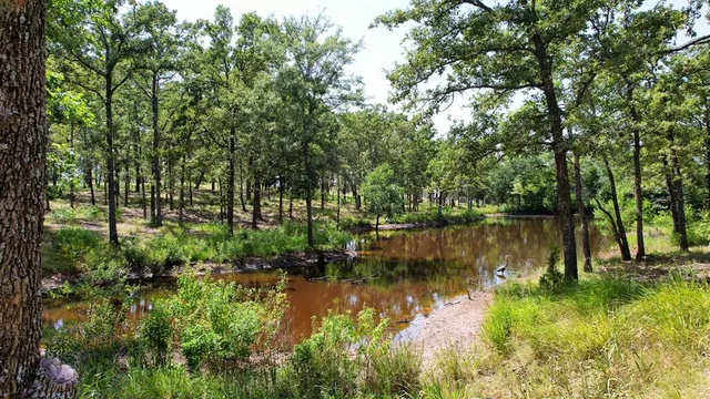 a view of a lake with houses in the back